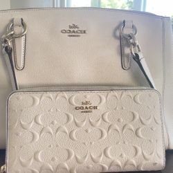Coach Purse And Wallet 
