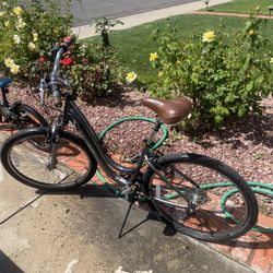 Trek Navigator 2.0 Adult Cruiser Bicycle