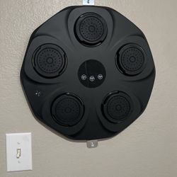 Bluetooth Boxing Machine 