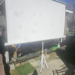 Projector Screen