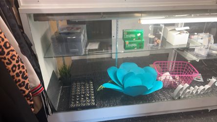 Display Case