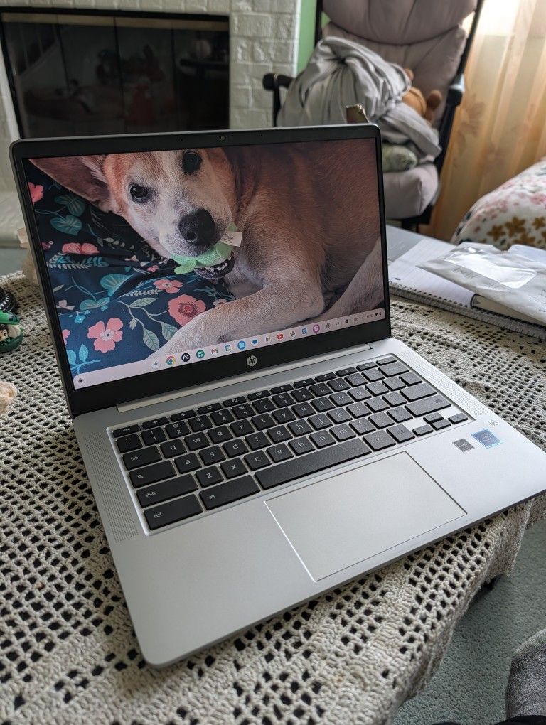 HP Chromebook