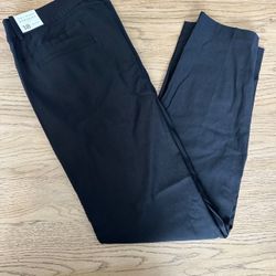 Lane Bryant 4 Seasons Pants