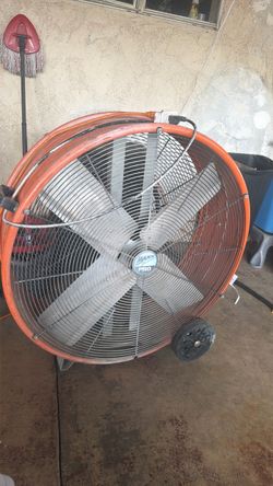 Fan