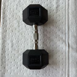 25lb Dumbbell/ Free Weight
