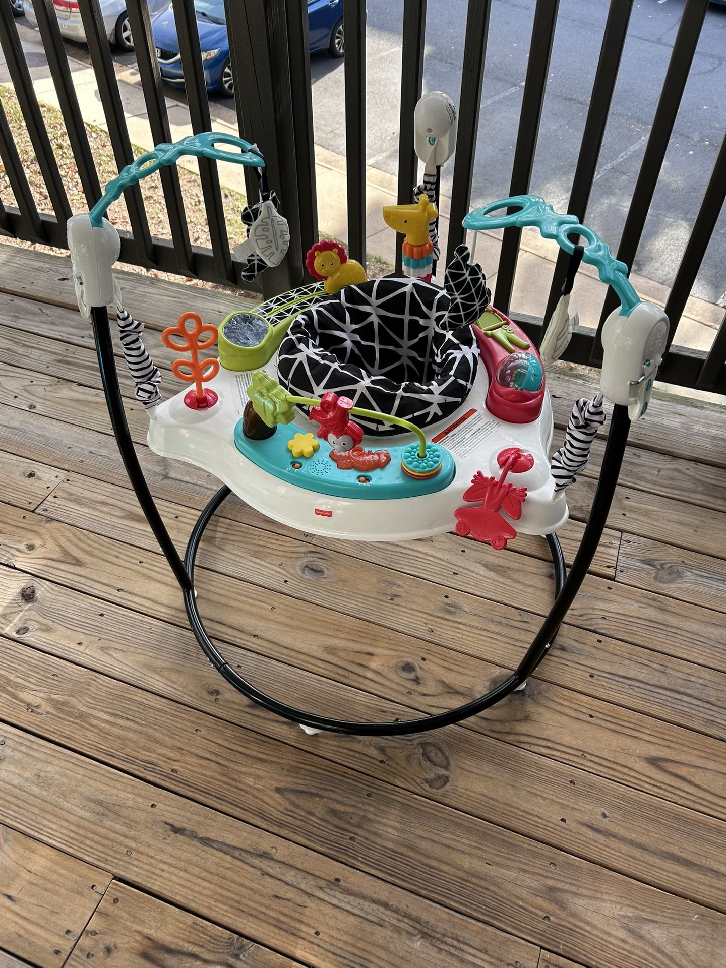 Fisher-Price Baby Bouncer Petals Jumperoo