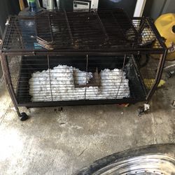 Guinea Pig Pet Cage 