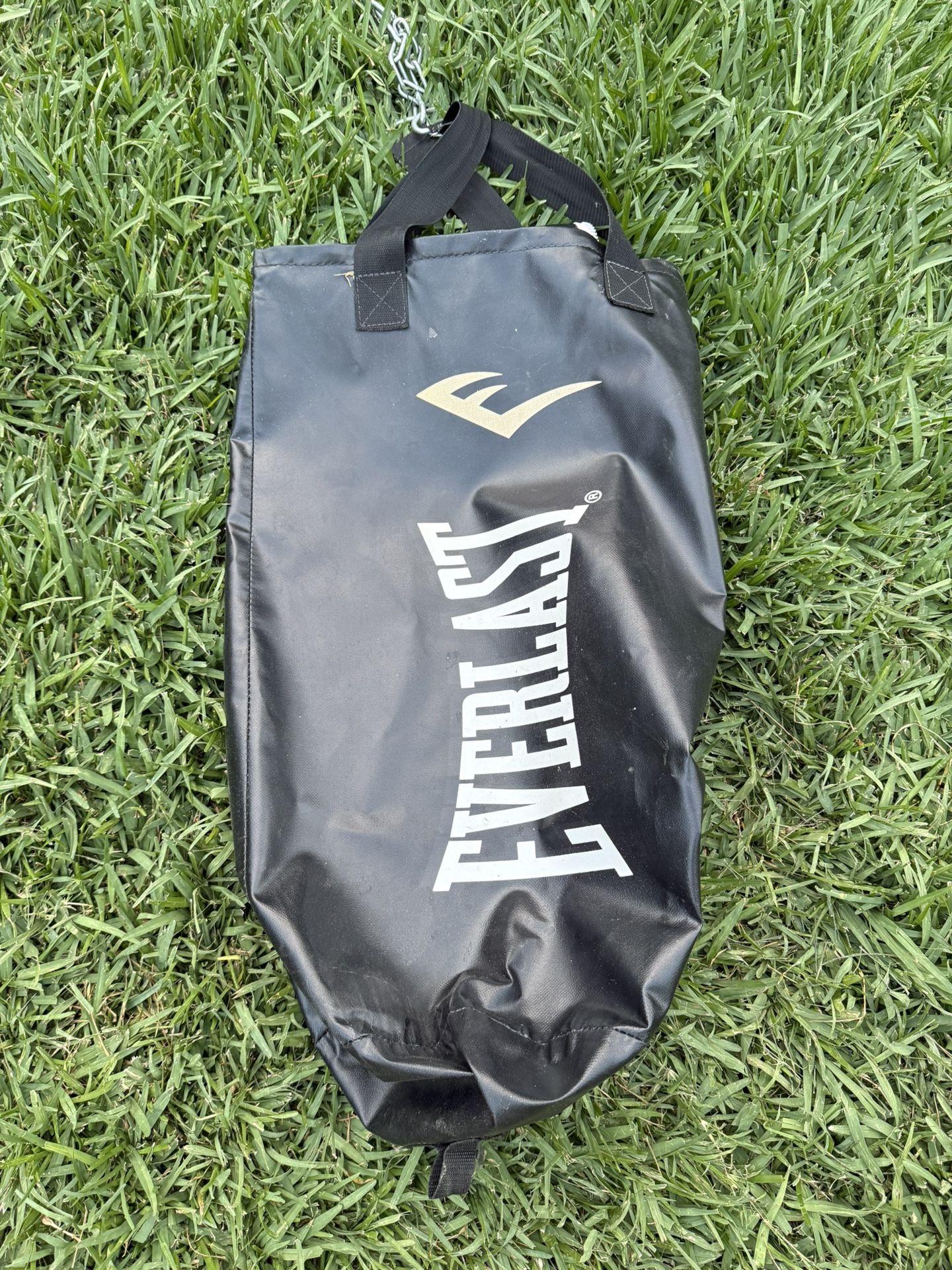 Everlast Punching Bag Empty