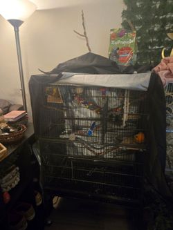 Bird cage with cover