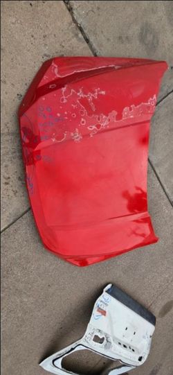 Ford F150 Hood OEM