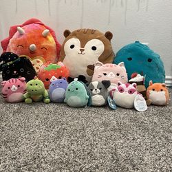 Squishmallow bundle - All Sizes
