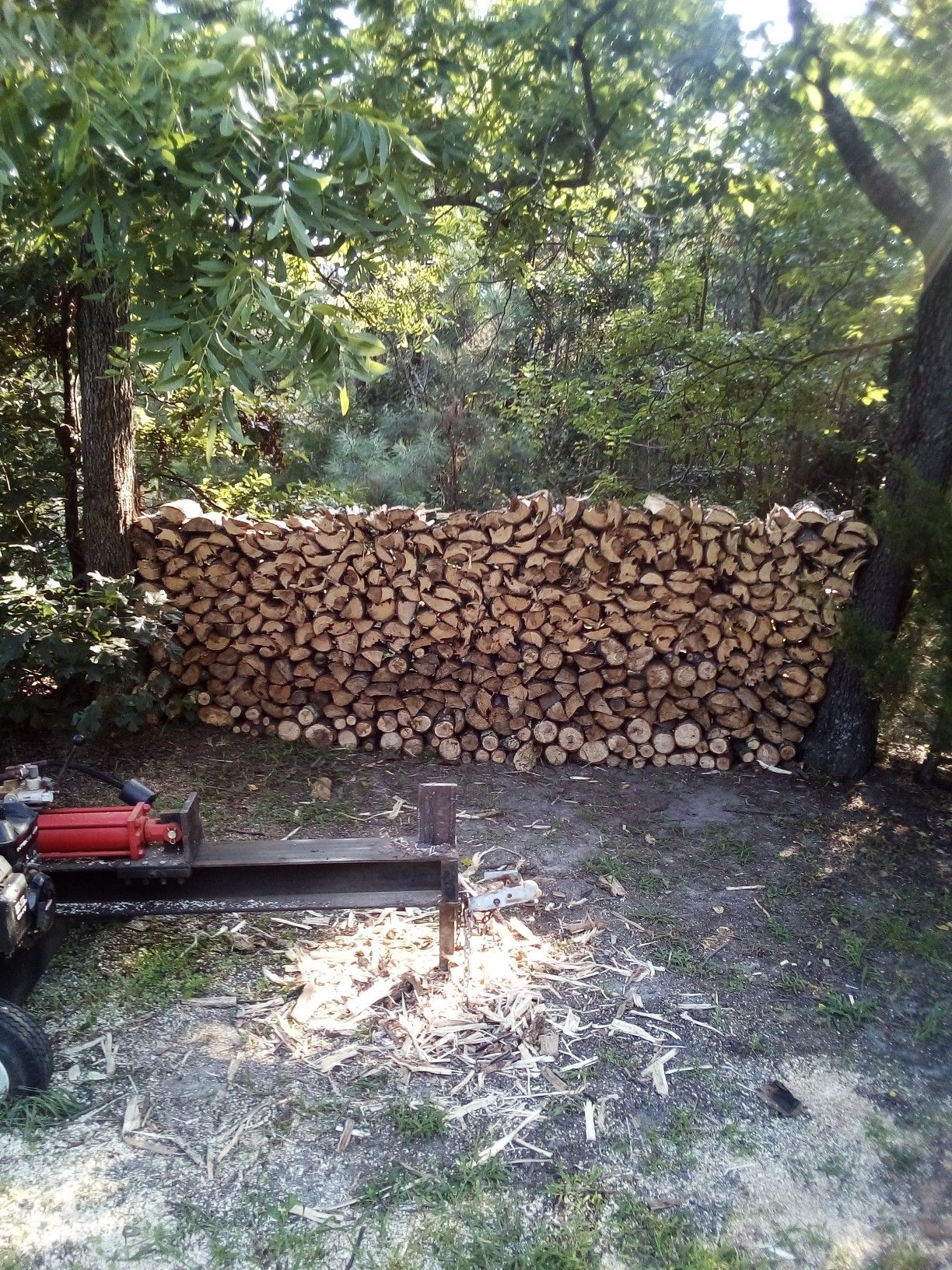 Hardwood firewood