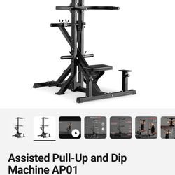 GMWD Assisted Pull-Up and Dip Machine (AP01) (BRAND NEW!)
