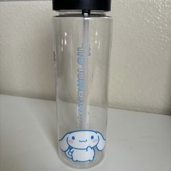 cinnamoroll water bottle