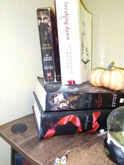 Twilight saga book set $20 for all