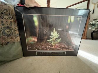 Art- Photo Poster