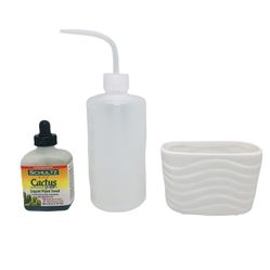 Mini Succulent Planter bundle