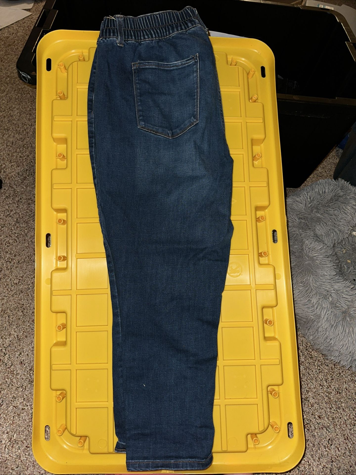 Women’s Capri