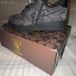 BAPE X COACH SHOES 