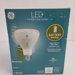 GE LED One Bulb + One Function..