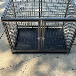 Animal Cage 