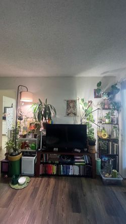 Entertainment center