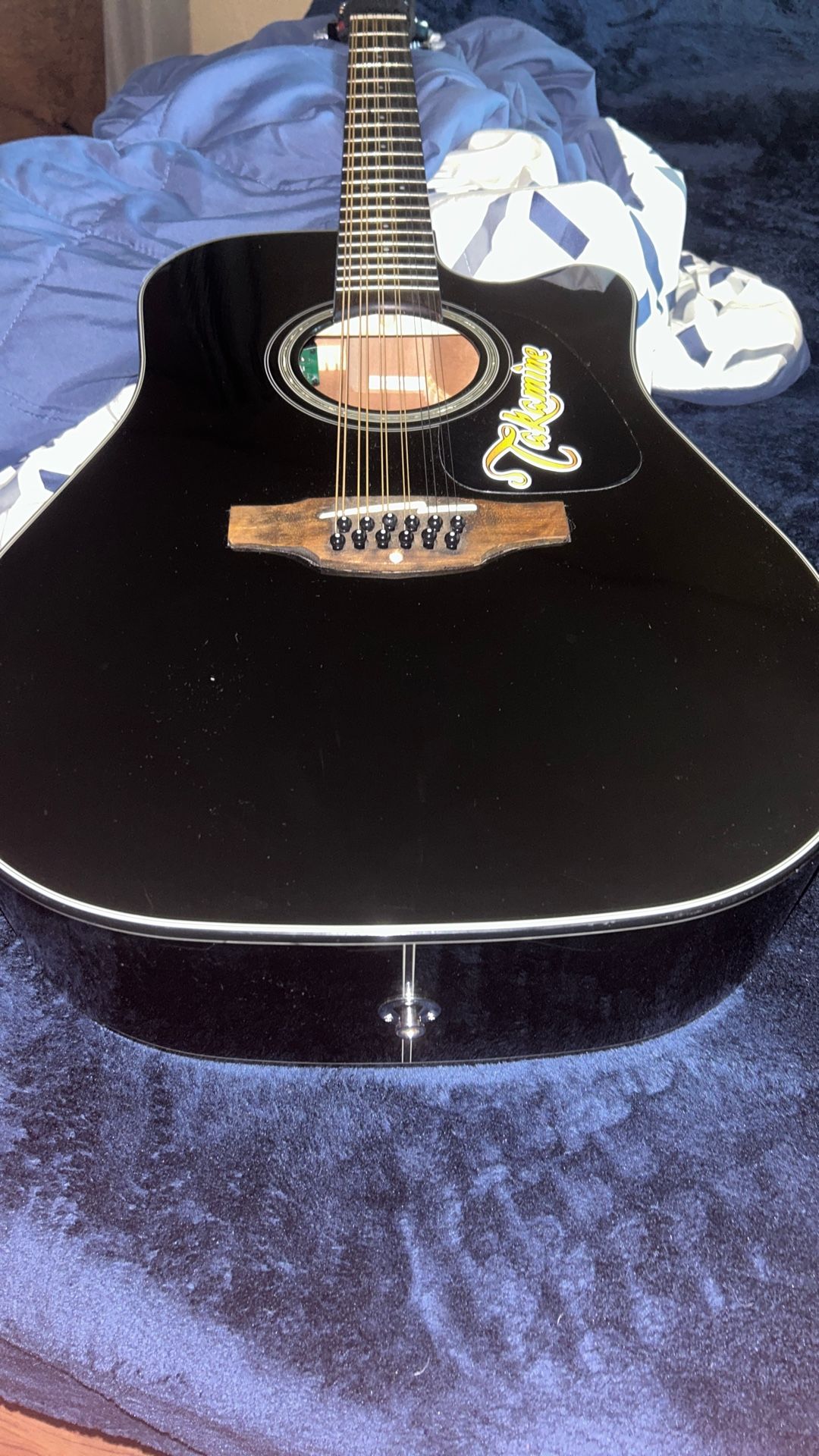 Takamine G Series 