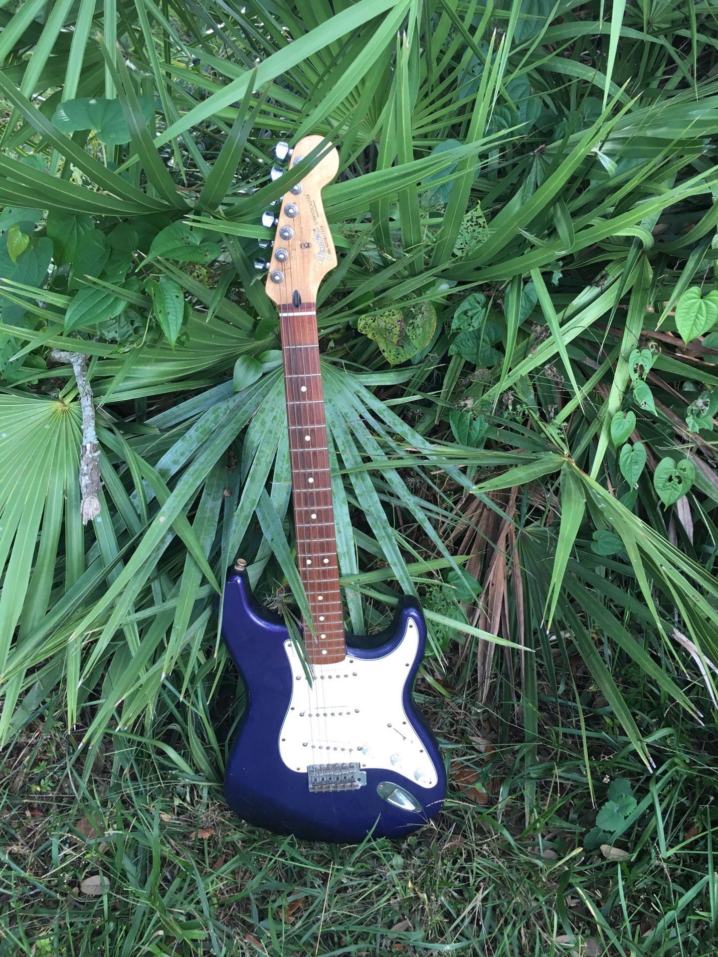 Mim Fender guitar