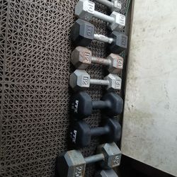 Cast Iron Dumbbells Set With Rubber Coated Dumbbells set