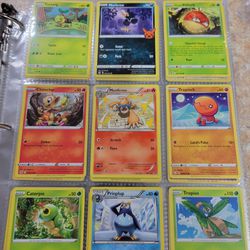 431 Non Holo Pokemon Cards
