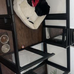 Dog House