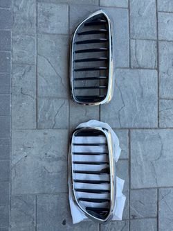 Stock BMW 5 Series G30 Chrome Kidney Grille