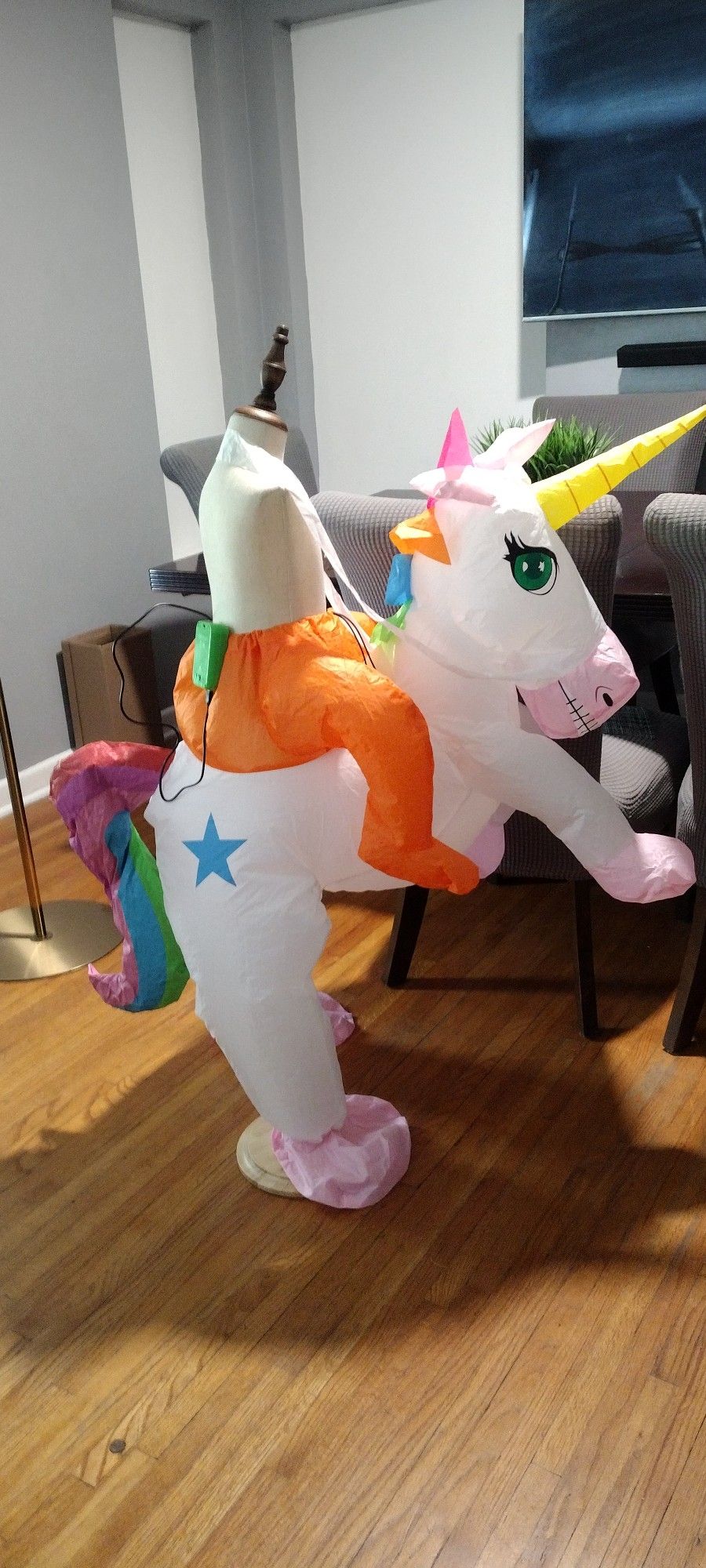 Little Pony Inflatables , Costumes, Girls Birthday Party