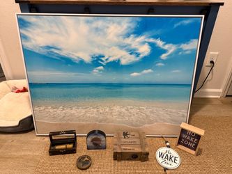 Shark Room Decor