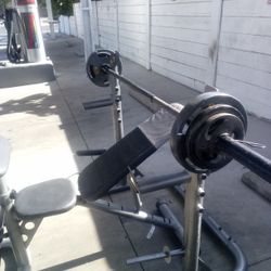Bench Press Olympic Bar And Weights 