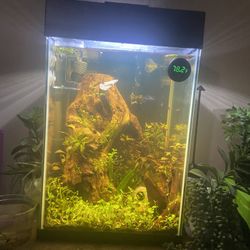 10 Gallon Fish Tank Full Set