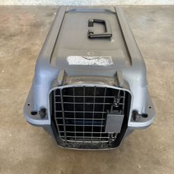PET CARRIER!!! Nice!!! 