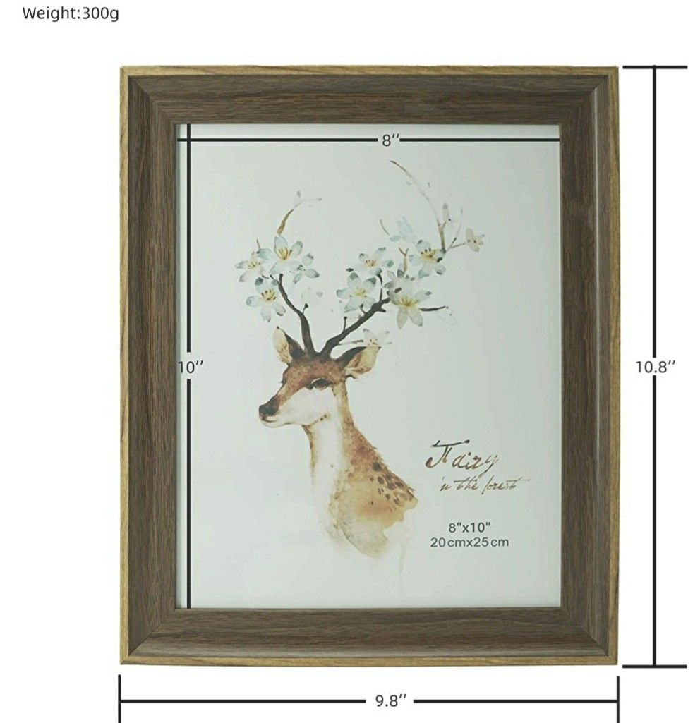 CGIILS 8x10 Picture Frame
