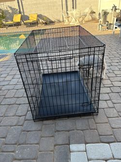 Cage Dog XL