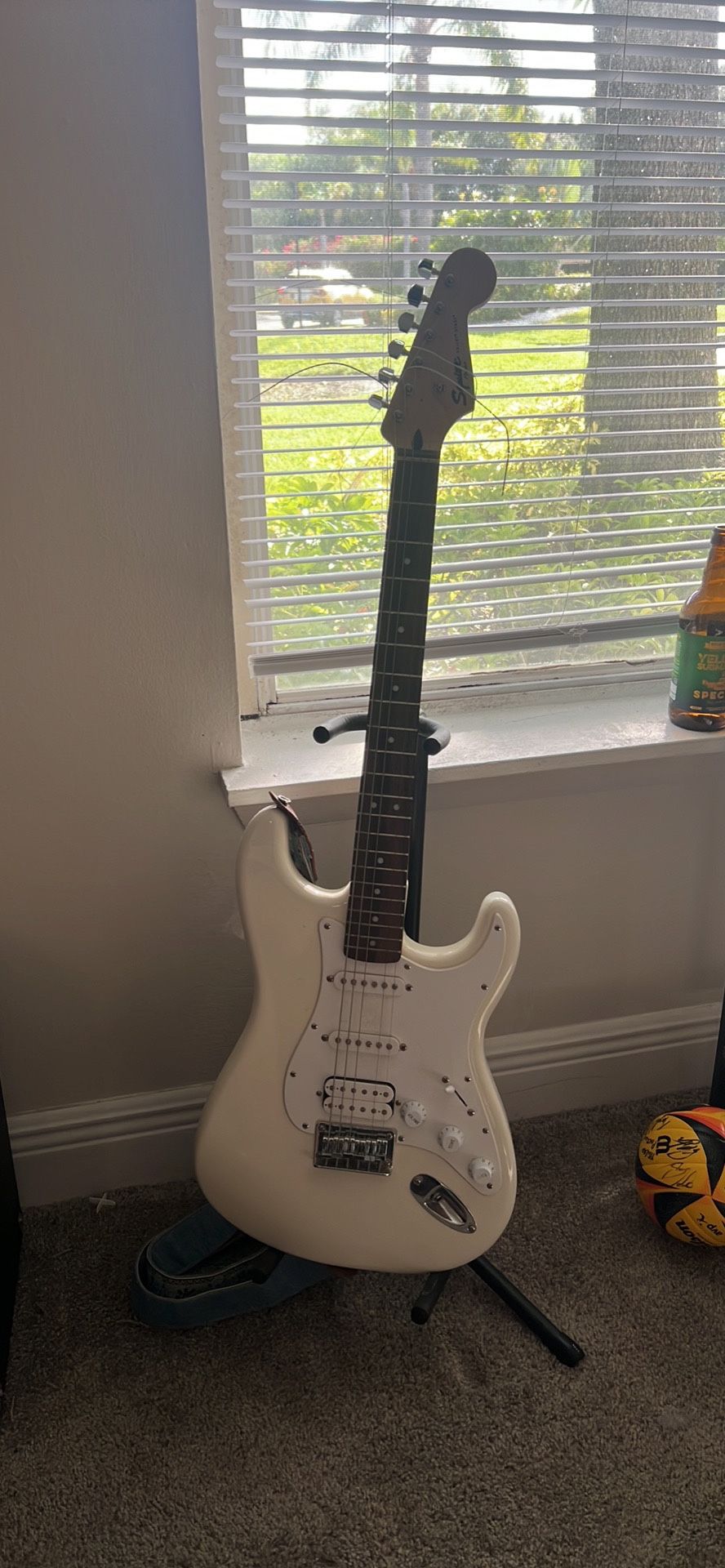 Electric Guitar And Stand