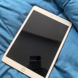Rose Pink iPad 5th Generation 