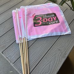 Six 3-day Susan G Coleman Walk For The Cure Flags