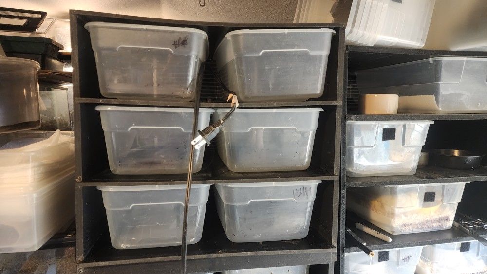 6 Tub Reptile Snake Rack With Heat