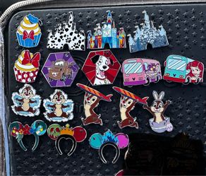 PIN LOT