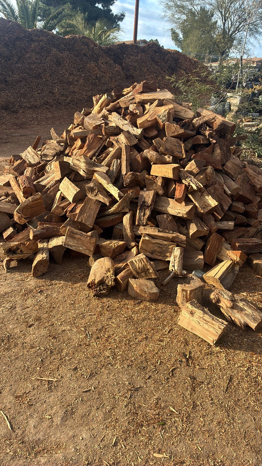 Firewood