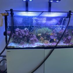 Redsea reefer 425 XL (Tank Only) 1300 OBO