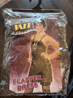 All That Jazz Flapper Dress Costume