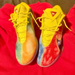 Men's "What The" Monopoly x Nike LeBron 22 Tie-Dye  (HV8080-300) 10 size