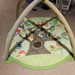 Infant Play Mat