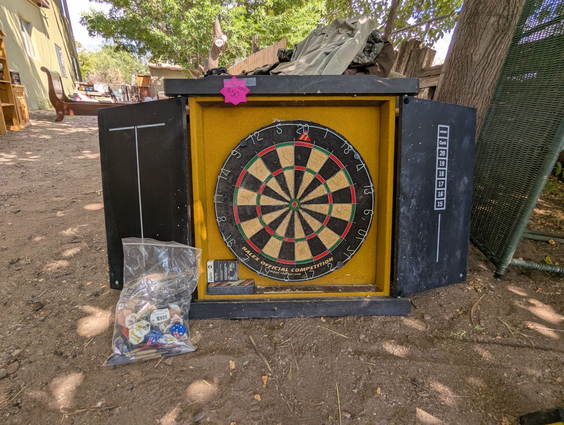 Dart board and darts